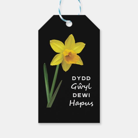 Dydd Gyl Dewi Hapus Hapus Happy St David's Day ギフトタグ (正面)
