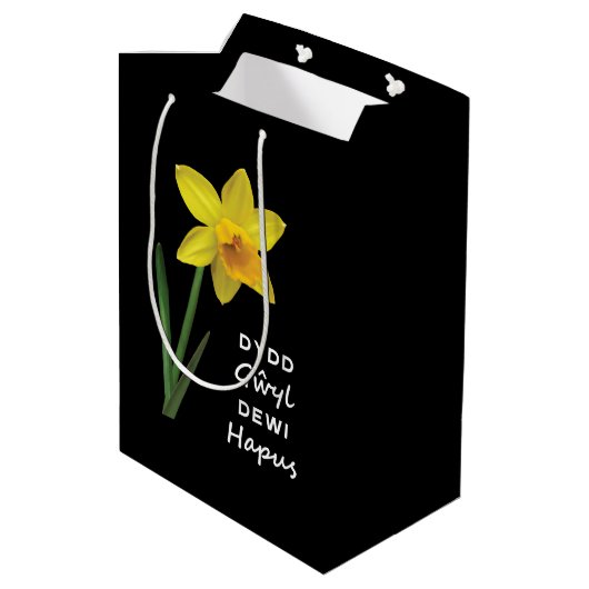 Dydd Gyl Dewi Hapus Hapus Happy St David's Day ミディアムペーパーバッグ (裏面アングル)