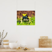 Dyeing Poison Frog, Dendrobates tinctorius, ポスター (キッチン)