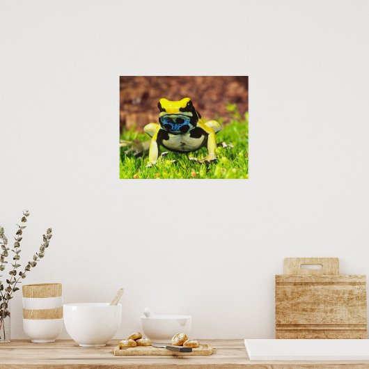 Dyeing Poison Frog, Dendrobates tinctorius, ポスター (キッチン)