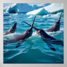 Dynamic Narwhal Pod - Playful Arctic Whales