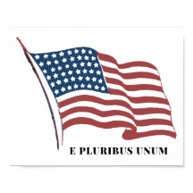 Eプルリバス愛国心のない米国国旗