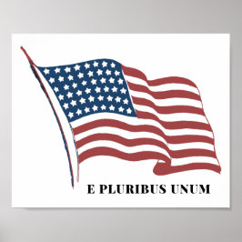 Eプルリバス愛国心のない米国国旗 ポスター