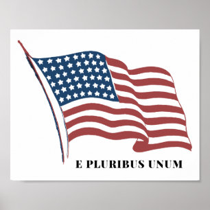 Eプルリバス愛国心のない米国国旗 ポスター