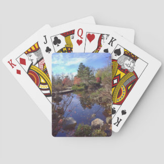 E日本の.A.シュナイダーの池 トランプ