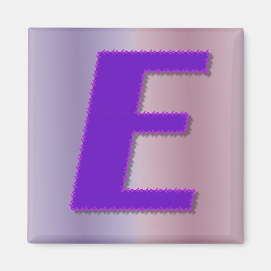 E紫モノグラム マグネット (正面)