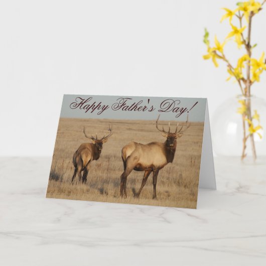 E1ブルエルク カード (黄色い花)