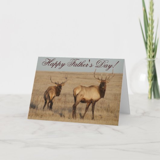 E1ブルエルク カード (正面)