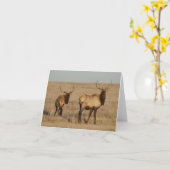 E1ブルエルク カード (黄色い花)