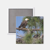 E10およびE11マグネット マグネット (正面/裏面)