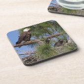 E10及びE11コースターセット コースター (左側)