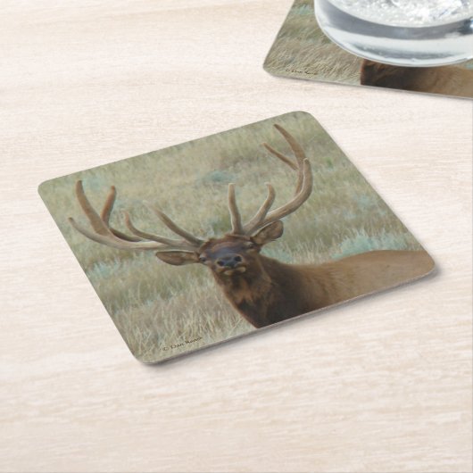 E10 Bull Elk in Velvet スクエアペーパーコースター (アングル)