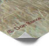 E10 Bull Elk in Velvet ポスター (角)