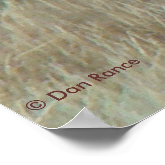 E10 Bull Elk in Velvet ポスター (角)