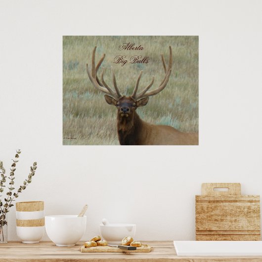 E10 Bull Elk in Velvet ポスター (キッチン)