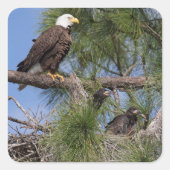 E10 & E11ステッカー スクエアシール (正面)