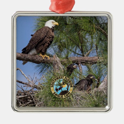 E10 E11及び家族の休日のオーナメント メタルオーナメント (正面)