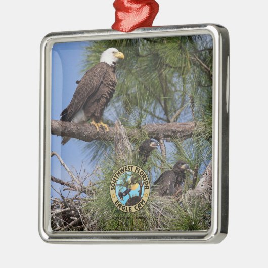 E10 E11及び家族の休日のオーナメント メタルオーナメント (左)