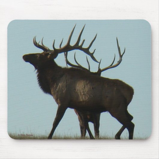 E11 雄鹿の角が地平線にシルエット マウスパッド (正面)