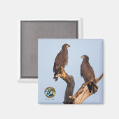 E12およびE13マグネット マグネット (正面/裏面)