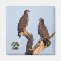 E12およびE13マグネット