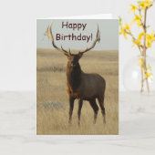 E13ブルエルクグラスインホーン カード (黄色い花)