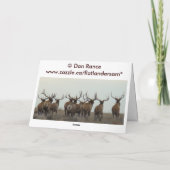 E15aブルエルクヘルドマスター カード (裏面)