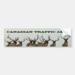 E17ブルエルクランニング バンパーステッカー