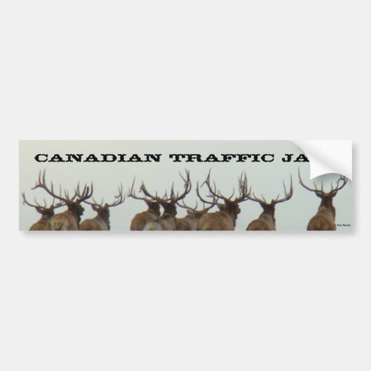 E17ブルエルクランニング バンパーステッカー (正面)