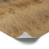 E1 Bull Elk Open Country Bulls ポスター (角)