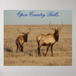 E1 Bull Elk Open Country Bulls ポスター