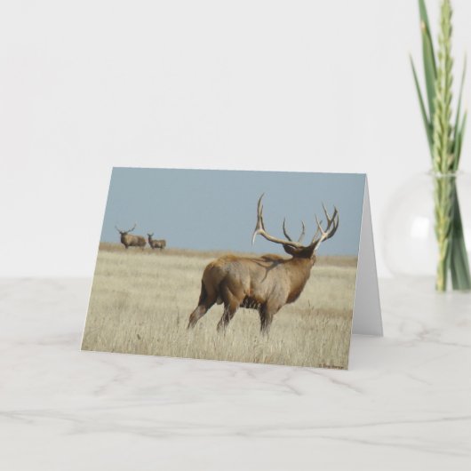 E20ブルエルクチャレンジャー カード (正面)