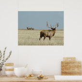 E20ブルエルクチャレンジャー ポスター (キッチン)