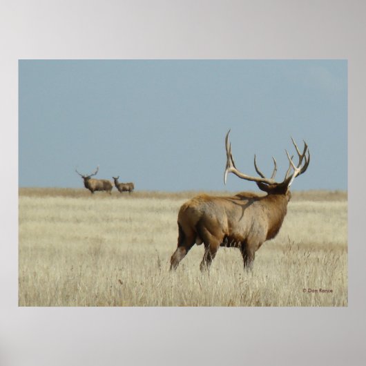 E20ブルエルクチャレンジャー ポスター (正面)