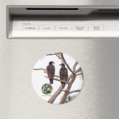 E21 & E22バッド最高のス・シーズン11 マグネット (インサイチュ (食洗機))