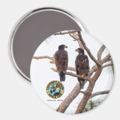 E21 & E22バッド最高のス・シーズン11 マグネット (正面/裏面)