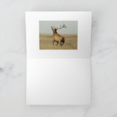 E23ブルエルクグラスインホーン カード (内部)