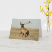 E23ブルエルクグラスインホーン カード (黄色い花)