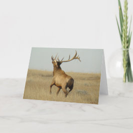 E23ブルエルクグラスインホーン カード