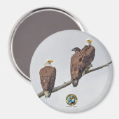 E23 & Family- M15、F23、およびFirst Eaglet マグネット (正面/裏面)