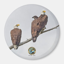 E23 & Family- M15、F23、およびFirst Eaglet