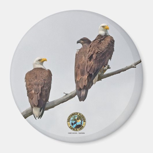 E23 & Family- M15、F23、およびFirst Eaglet マグネット (正面)