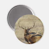 E24ブルエルク マグネット (正面/裏面)