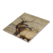 E24 マタ鹿 タイル (側面)