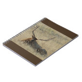 E25ブルエルク牧草の中に敷設 ノートブック (左側)