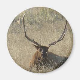 E25ブルエルク牧草の中に敷設 マグネット