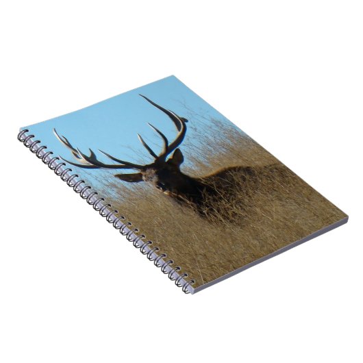 E26ブルエルク雑草の中に敷設 ノートブック (右側)