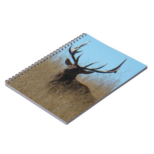 E26ブルエルク雑草の中に敷設 ノートブック (左側)