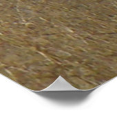 E26 ワイルドな雄の鹿が茂みに横たわる ポスター (角)