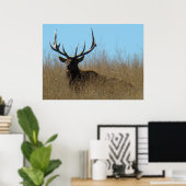 E26 ワイルドな雄の鹿が茂みに横たわる ポスター (ホームオフィス)